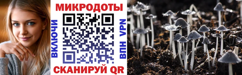Псилоцибиновые грибы мицелий  Нестеровская 